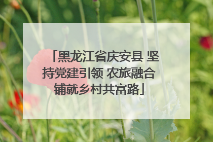 黑龙江省庆安县 坚持党建引领 农旅融合铺就乡村共富路