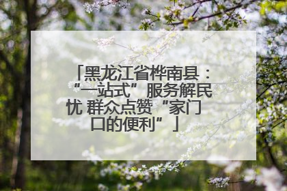 黑龙江省桦南县：“一站式”服务解民忧 群众点赞“家门口的便利”