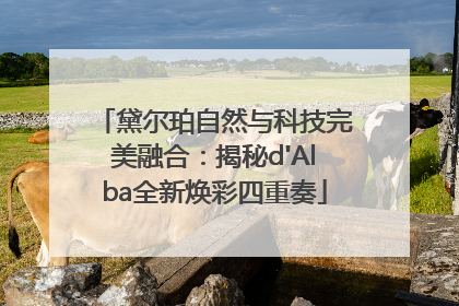 黛尔珀自然与科技完美融合：揭秘d'Alba全新焕彩四重奏