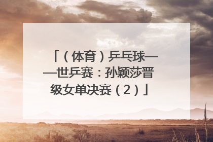 （体育）乒乓球——世乒赛：孙颖莎晋级女单决赛（2）
