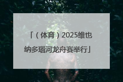 （体育）2025维也纳多瑙河龙舟赛举行