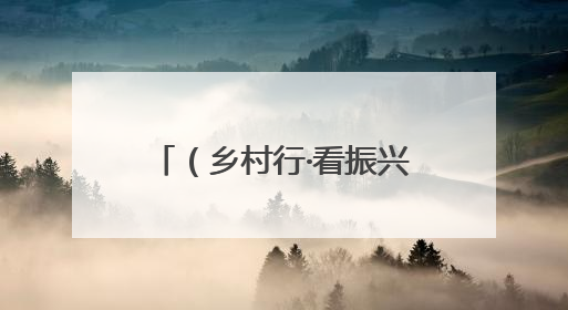 （乡村行·看振兴）山西高平：金银花里采“金银” 花香溢满致富路