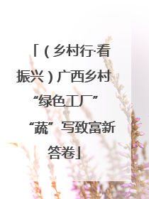 （乡村行·看振兴）广西乡村“绿色工厂” “蔬”写致富新答卷