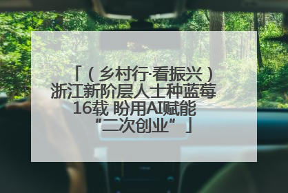 （乡村行·看振兴）浙江新阶层人士种蓝莓16载 盼用AI赋能“二次创业”