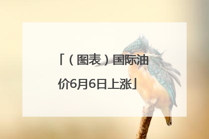 （图表）国际油价6月6日上涨