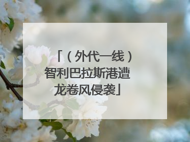 （外代一线）智利巴拉斯港遭龙卷风侵袭