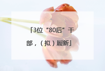 3位“80后”干部，（拟）履新