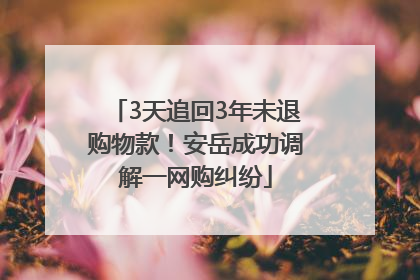 3天追回3年未退购物款！安岳成功调解一网购纠纷