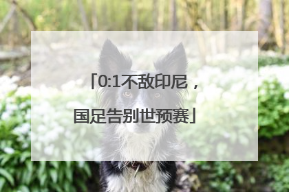 0:1不敌印尼，国足告别世预赛