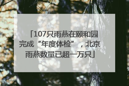 107只雨燕在颐和园完成“年度体检”，北京雨燕数量已超一万只