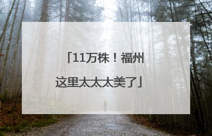 11万株！福州这里太太太美了