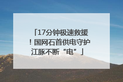 17分钟极速救援！国网石首供电守护江豚不断“电”