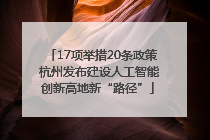 17项举措20条政策 杭州发布建设人工智能创新高地新“路径”