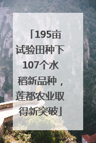 195亩试验田种下107个水稻新品种，莲都农业取得新突破