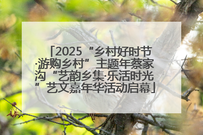 2025“乡村好时节·游购乡村”主题年蔡家沟“艺韵乡集·乐活时光”艺文嘉年华活动启幕