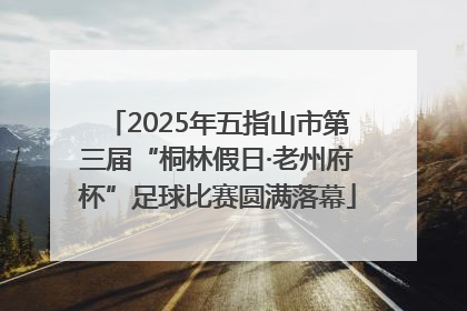 2025年五指山市第三届“桐林假日·老州府杯”足球比赛圆满落幕
