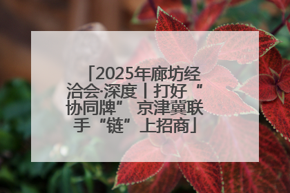2025年廊坊经洽会·深度丨打好“协同牌” 京津冀联手“链”上招商