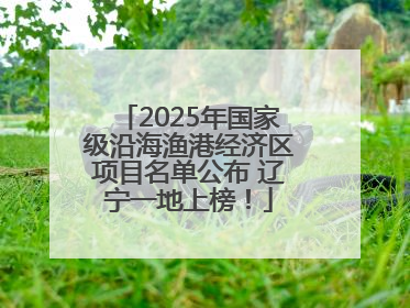 2025年国家级沿海渔港经济区项目名单公布 辽宁一地上榜！