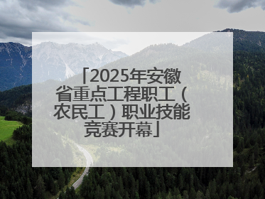 2025年安徽省重点工程职工（农民工）职业技能竞赛开幕