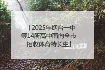 2025年烟台一中等14所高中面向全市招收体育特长生