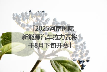 2025河南国际新能源汽车拉力赛将于8月下旬开赛