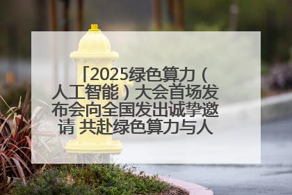 2025绿色算力（人工智能）大会首场发布会向全国发出诚挚邀请 共赴绿色算力与人工智能融合之约