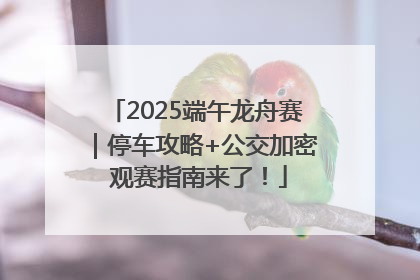 2025端午龙舟赛｜停车攻略+公交加密 观赛指南来了！