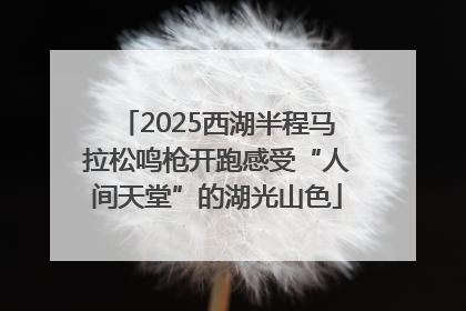 2025西湖半程马拉松鸣枪开跑感受“人间天堂”的湖光山色