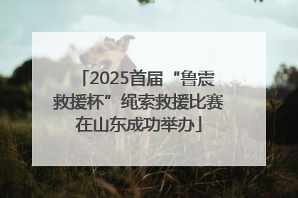 2025首届“鲁震救援杯”绳索救援比赛在山东成功举办