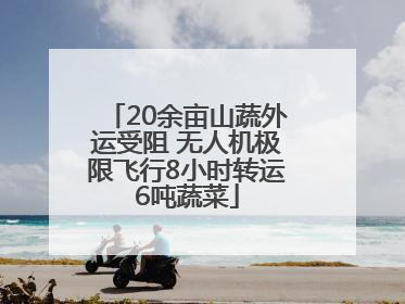 20余亩山蔬外运受阻 无人机极限飞行8小时转运6吨蔬菜