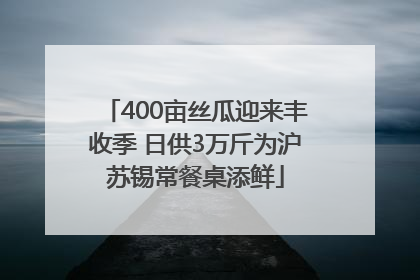 400亩丝瓜迎来丰收季 日供3万斤为沪苏锡常餐桌添鲜