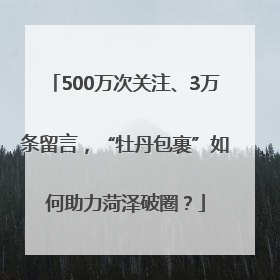 500万次关注、3万条留言，“牡丹包裹”如何助力菏泽破圈？