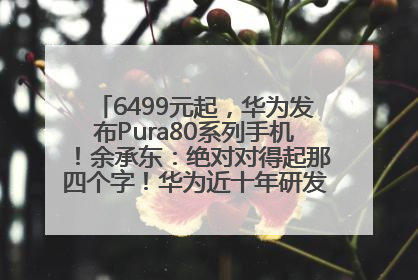 6499元起，华为发布Pura80系列手机！余承东：绝对对得起那四个字！华为近十年研发投入12490亿元