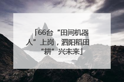 66台“田间机器人”上岗，泗阳稻田“耕”兴未来