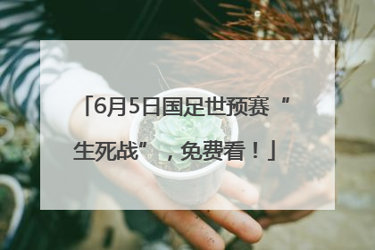 6月5日国足世预赛“生死战”，免费看！