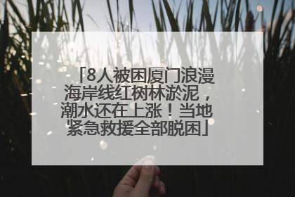 8人被困厦门浪漫海岸线红树林淤泥，潮水还在上涨！当地紧急救援全部脱困