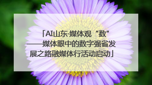 AI山东·媒体观“数”——媒体眼中的数字强省发展之路融媒体行活动启动