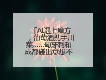 AI遇上魔方，葡萄酒携手川菜……匈牙利和成都碰出意想不到的合作机会