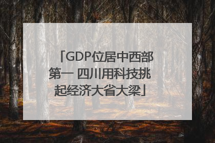 GDP位居中西部第一 四川用科技挑起经济大省大梁