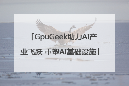 GpuGeek助力AI产业飞跃 重塑AI基础设施