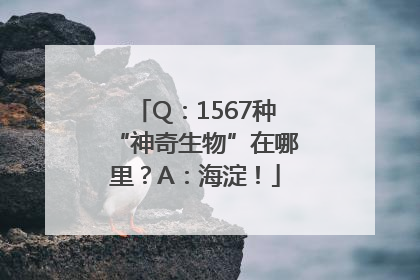 Q：1567种“神奇生物”在哪里？A：海淀！