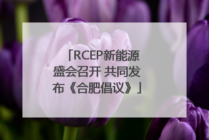 RCEP新能源盛会召开 共同发布《合肥倡议》