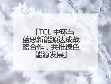 TCL 中环与蓝思新能源达成战略合作，共推绿色能源发展